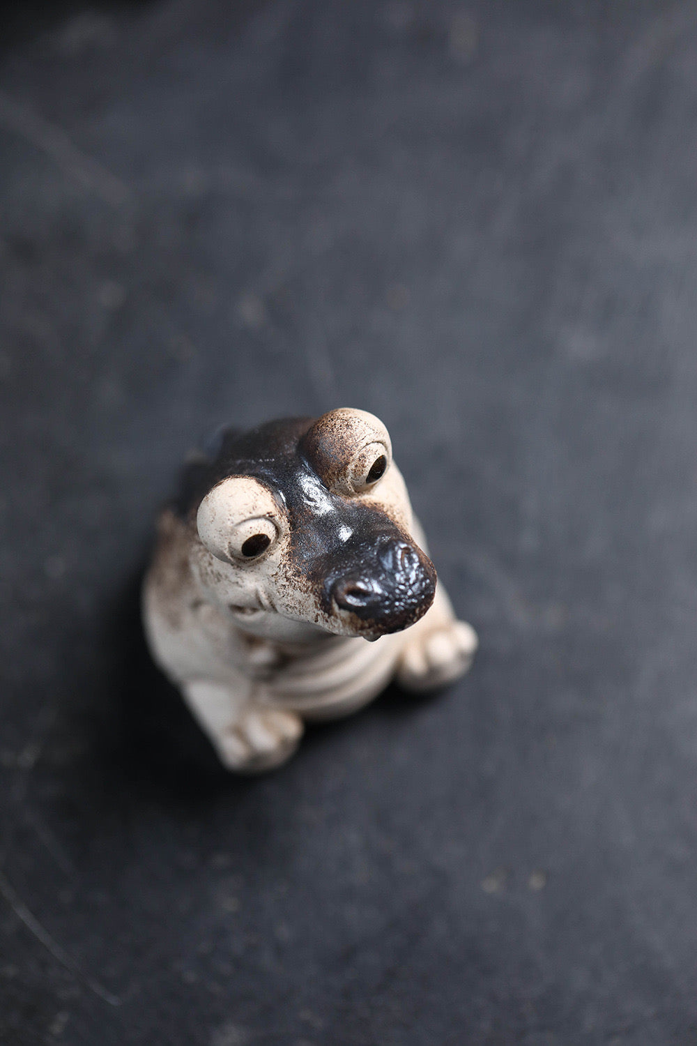 "Curious Baby Crocodile" Sculpture