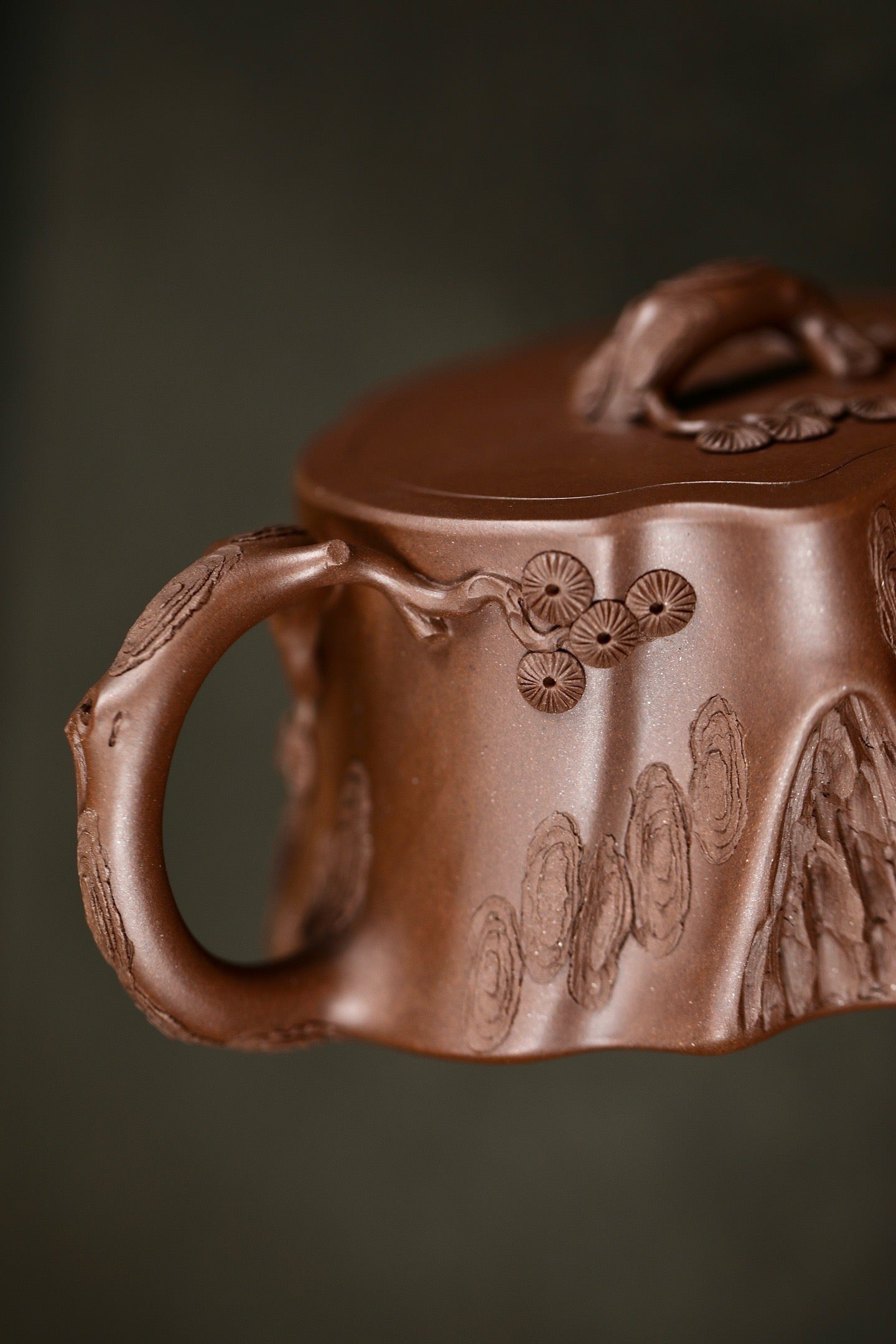 " Pine Root " pot