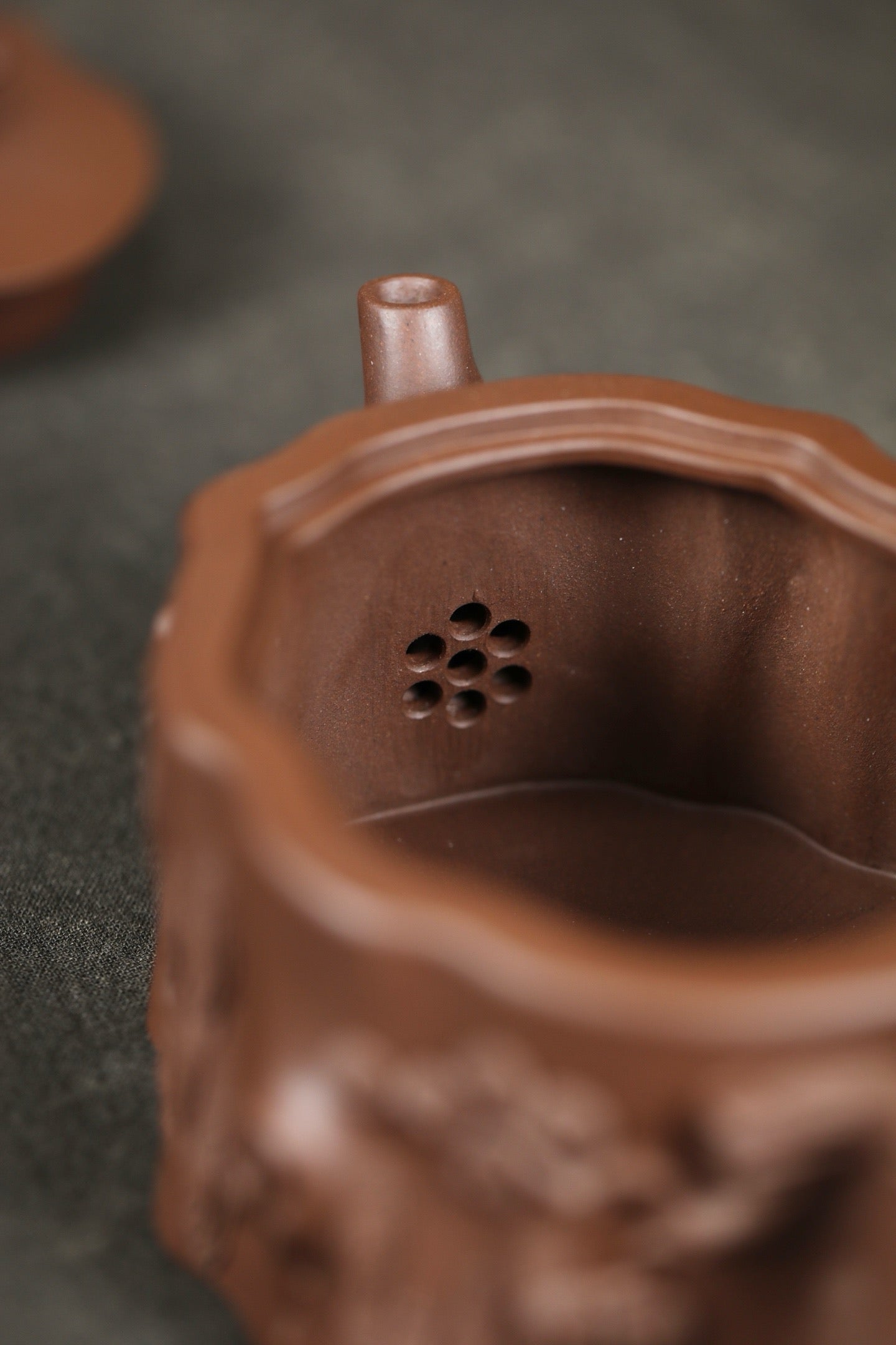 " Pine Root " pot