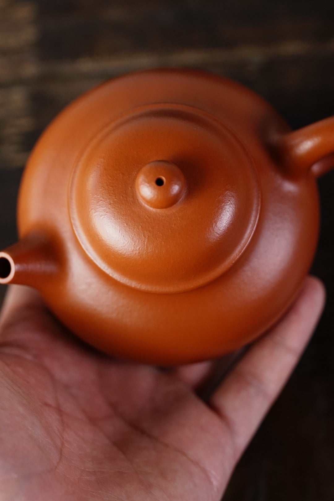 " Rong Tian " pot