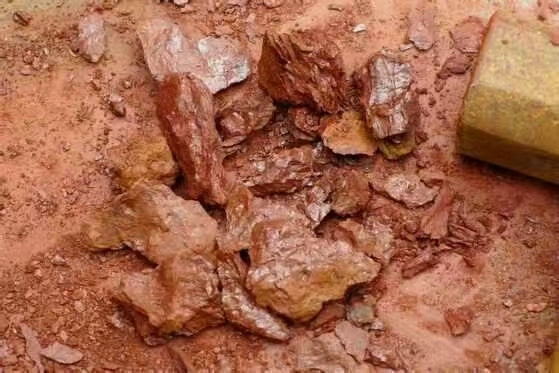 Da Hong Pao Clay: Rare Red Clay Explained