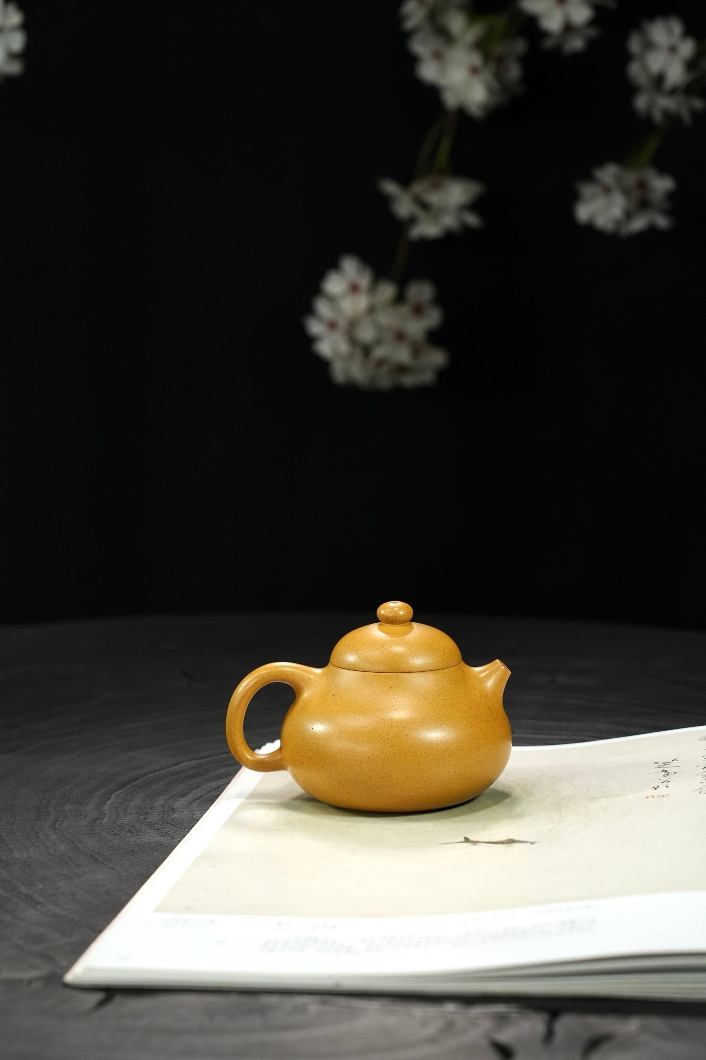 "Wen Dan" pot