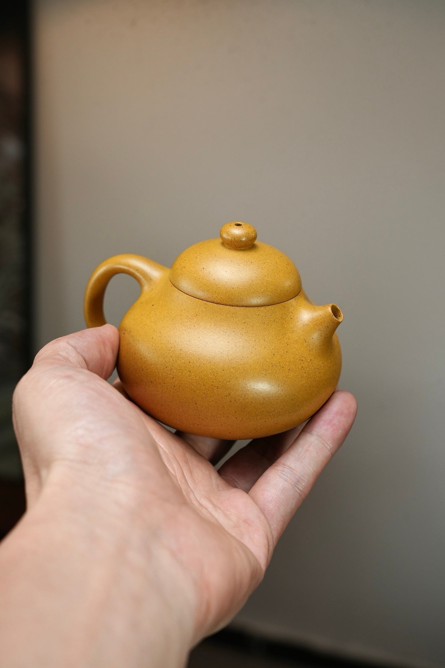 "Wen Dan" pot