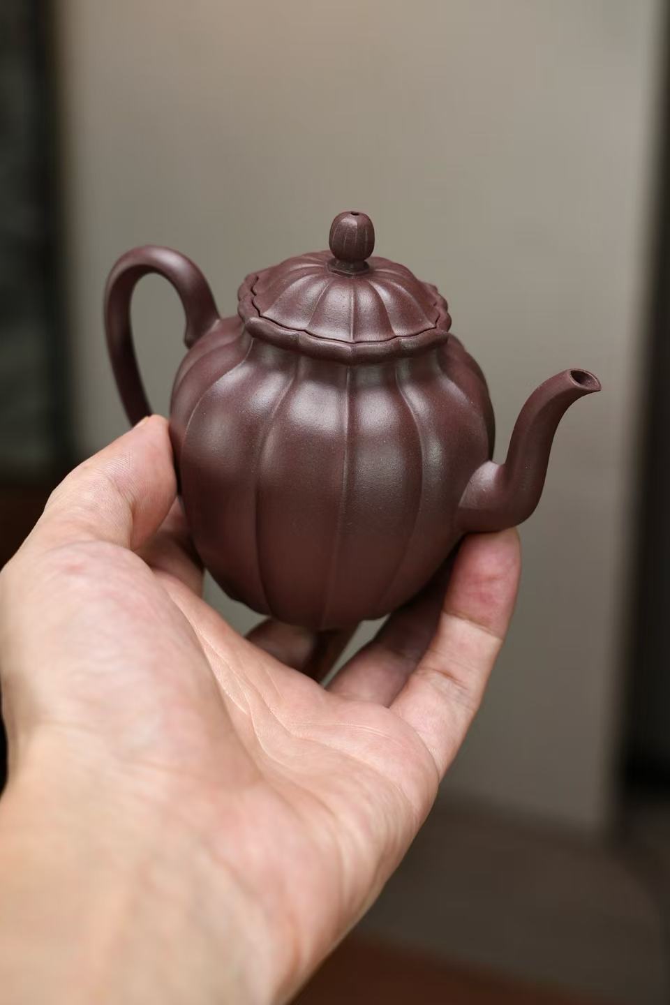 “Flower Petal Fairy” pot