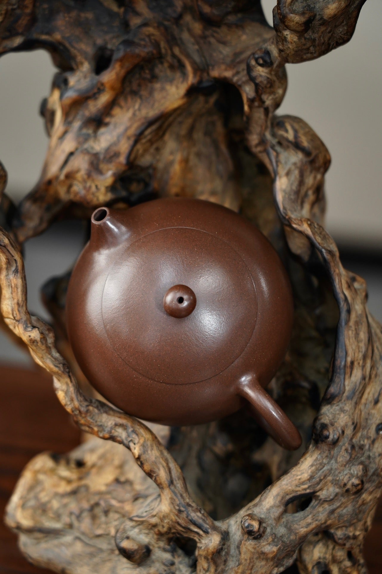 "Xi Shi " pot