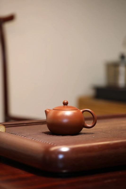 "Xi Shi" pot